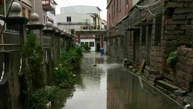 紅溝鯉市場的舊水道導致周邊街道被淹（知情人提供）