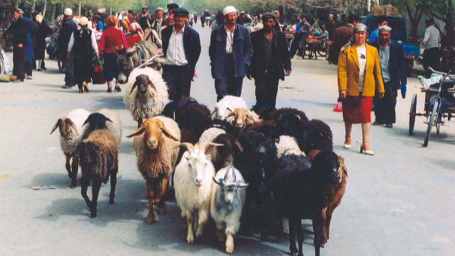 維吾爾人民（Todenhof - CC BY-SA 2.0）