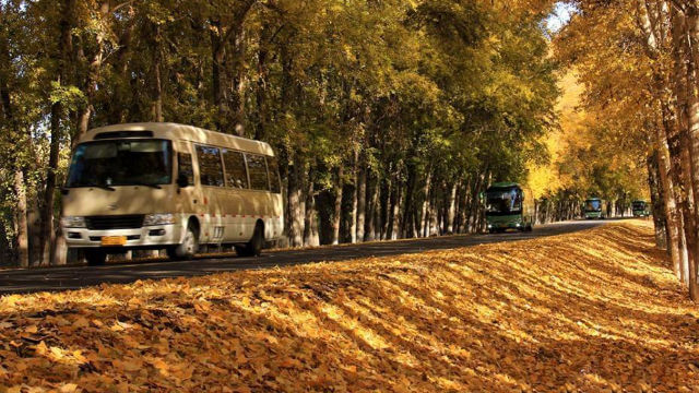 新疆公路上的巴士（網絡圖片）