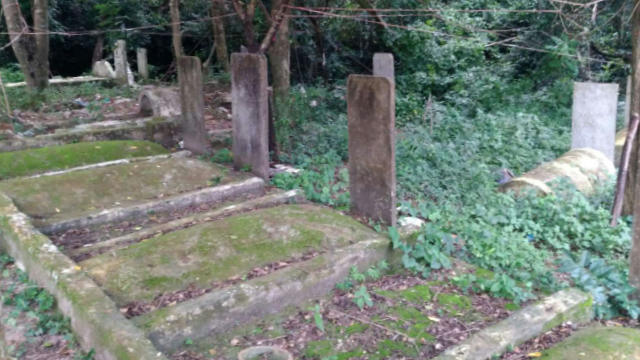 老宏村墳墓被挖之前（知情人提供）