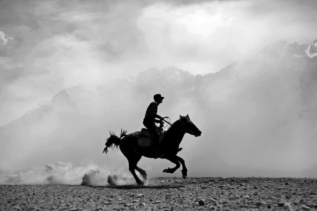馳騁帕米爾邊境的一名騎手 © Maxime Crozet