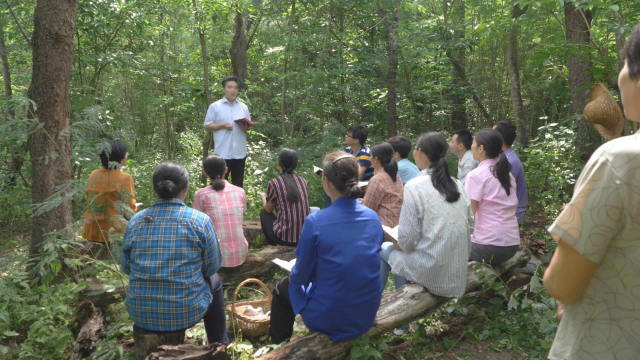 家庭教會信徒在樹林裡聚會（網絡圖片）