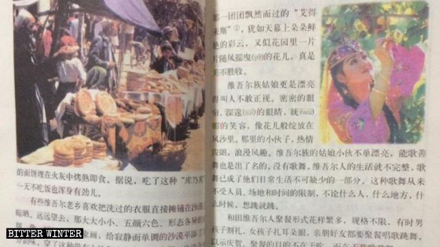 《和田的維吾爾人》原先的課文中配有維吾爾族圖片 《和田的維吾爾人》原先的課文中配有維吾爾族圖片