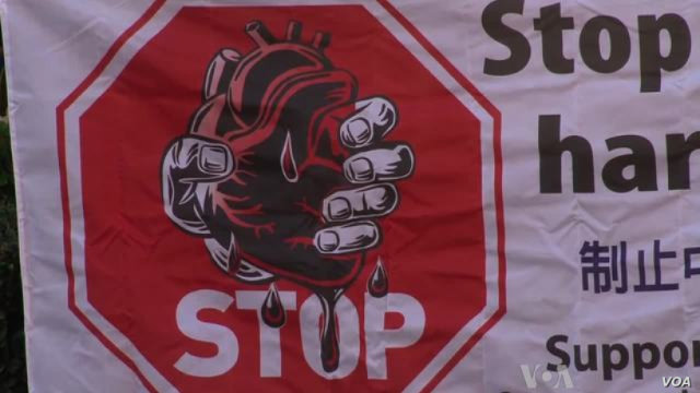 呼籲停止強摘器官暴行的條幅(VOA) 呼籲停止強摘器官暴行的條幅(VOA)