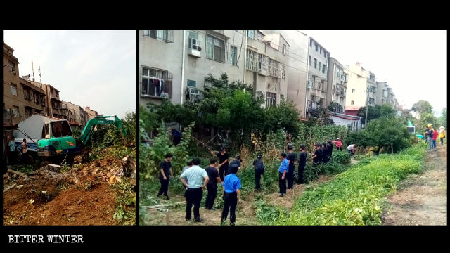 菜園子被剷毀 菜園子被剷毀