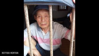 不死就要上訪：83歲老人20年血淚維權路　曾二度遭關精神病院