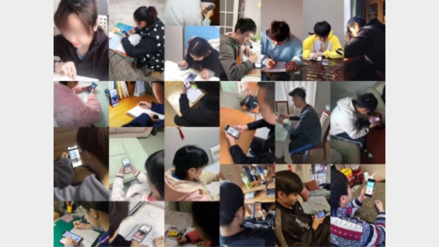 疫情期間,學生需要在家學習「青年大學習」(網絡圖片)