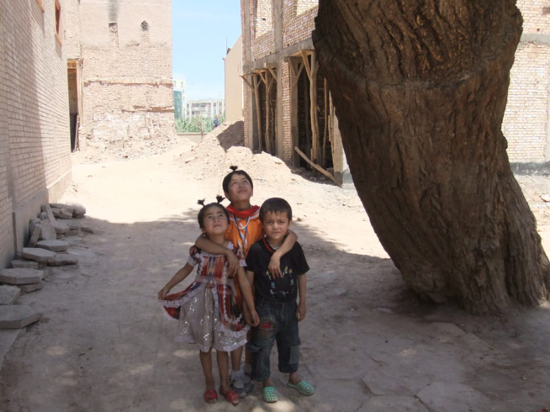孩子們在剛開始建造的新房子工地上玩耍，旁邊的老樹在文革期間也見證過類似的情況。 喀什　2011年