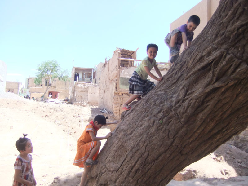 孩子們在剛開始建造的新房子工地上玩耍，旁邊的老樹在文革期間也見證過類似的情況。喀什　2011年