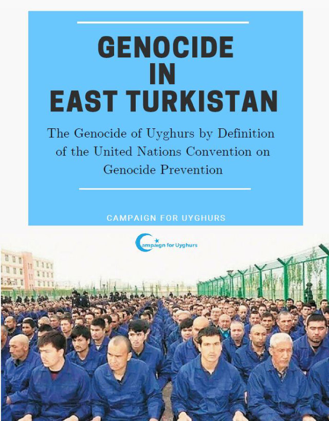 《在東突厥斯坦的種族滅絕》報告封面